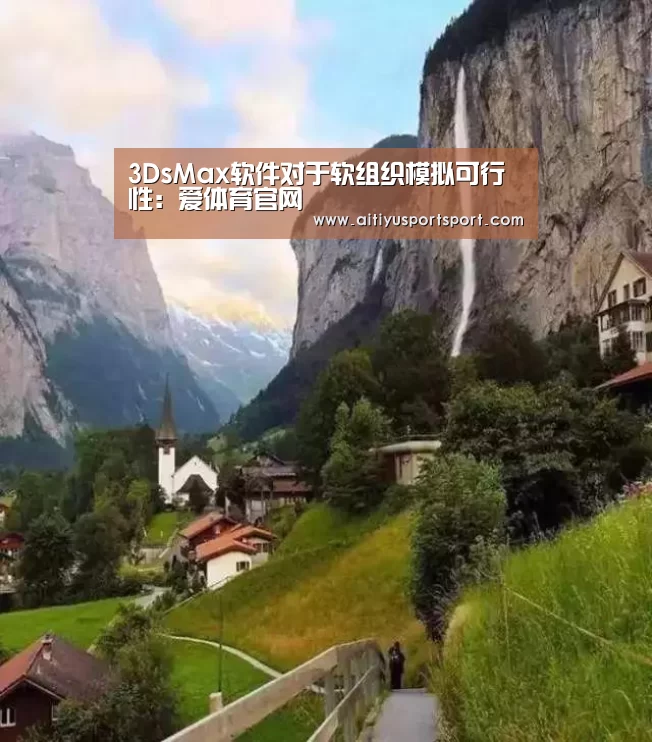 3DsMax软件对于软组织模拟可行性：爱体育官网