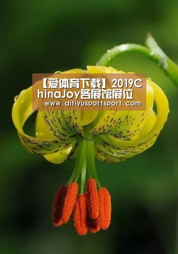 爱体育