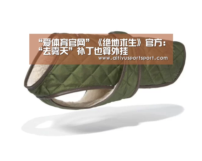 “爱体育官网”《绝地求生》官方:“去雾天”补丁也算外挂(图3) 爱体育下载