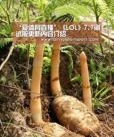 ‘爱体育直播’《LOL》7.7测试服更新内容介绍(图2) 爱体育